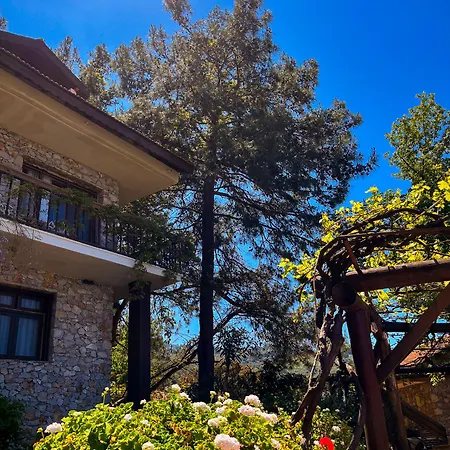 Отель Faralia 3*