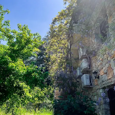 Faralia Otel Faralya