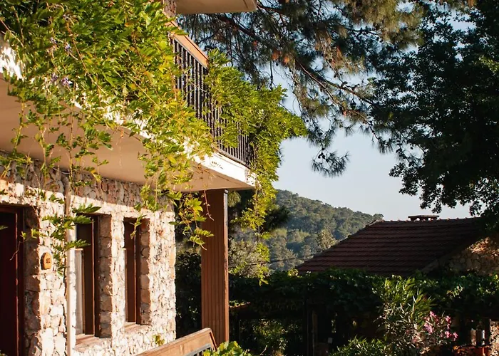 Faralia Szálloda Faralya